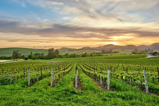 Garden Route & Eastern Cape